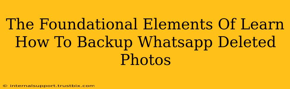 The Foundational Elements Of Learn How To Backup Whatsapp Deleted Photos