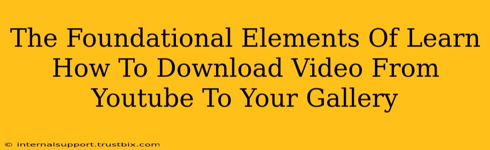 The Foundational Elements Of Learn How To Download Video From Youtube To Your Gallery