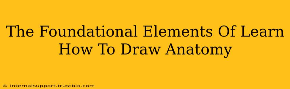 The Foundational Elements Of Learn How To Draw Anatomy