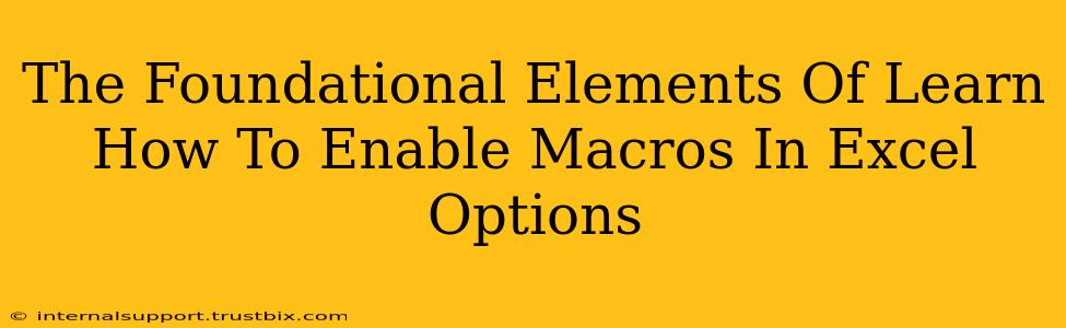 The Foundational Elements Of Learn How To Enable Macros In Excel Options