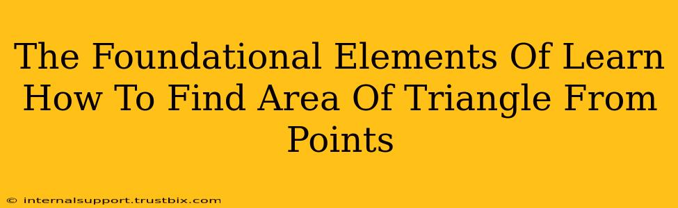 The Foundational Elements Of Learn How To Find Area Of Triangle From Points