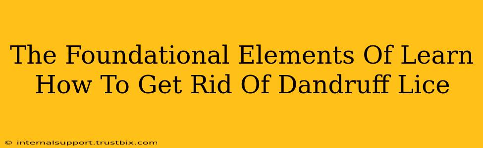 The Foundational Elements Of Learn How To Get Rid Of Dandruff Lice