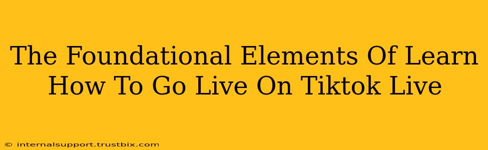 The Foundational Elements Of Learn How To Go Live On Tiktok Live