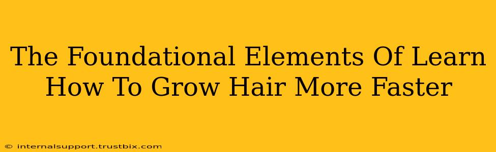 The Foundational Elements Of Learn How To Grow Hair More Faster