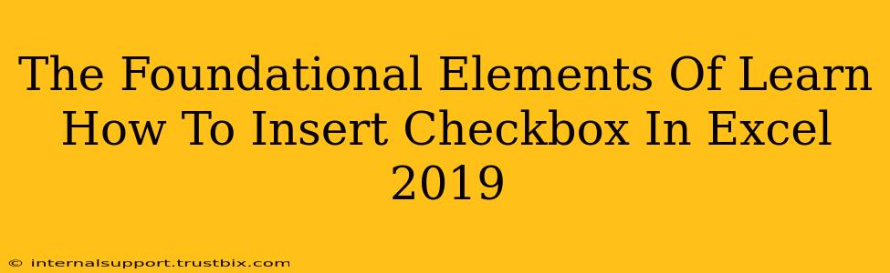 The Foundational Elements Of Learn How To Insert Checkbox In Excel 2019