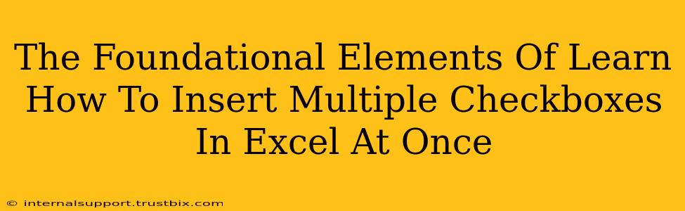 The Foundational Elements Of Learn How To Insert Multiple Checkboxes In Excel At Once