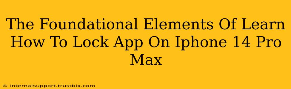 The Foundational Elements Of Learn How To Lock App On Iphone 14 Pro Max