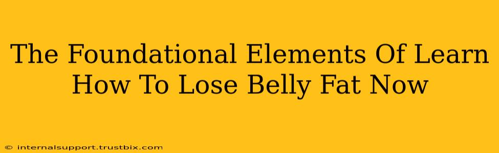 The Foundational Elements Of Learn How To Lose Belly Fat Now