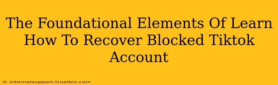 The Foundational Elements Of Learn How To Recover Blocked Tiktok Account