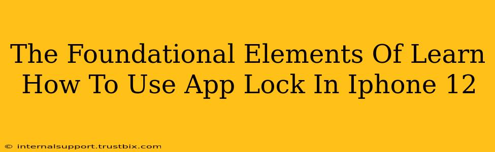 The Foundational Elements Of Learn How To Use App Lock In Iphone 12