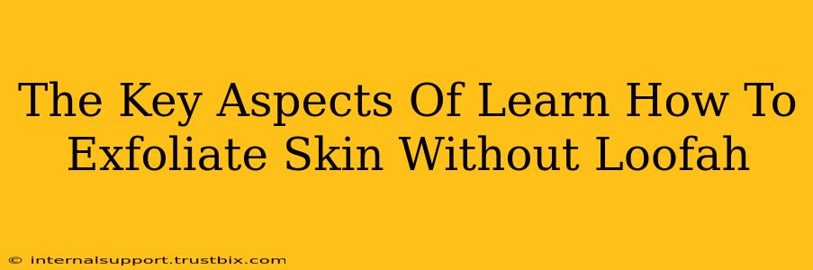 The Key Aspects Of Learn How To Exfoliate Skin Without Loofah