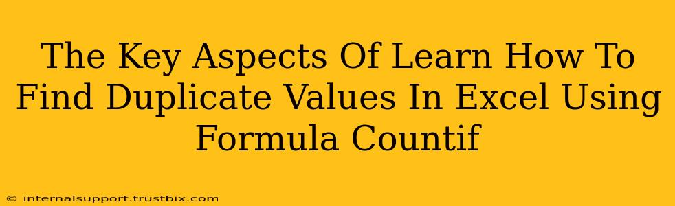 The Key Aspects Of Learn How To Find Duplicate Values In Excel Using Formula Countif