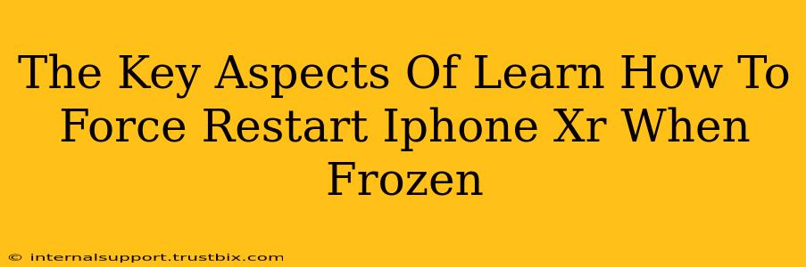 The Key Aspects Of Learn How To Force Restart Iphone Xr When Frozen