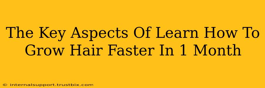 The Key Aspects Of Learn How To Grow Hair Faster In 1 Month