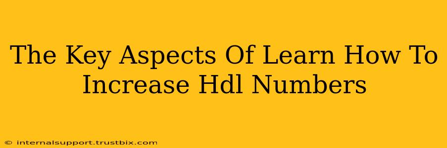 The Key Aspects Of Learn How To Increase Hdl Numbers