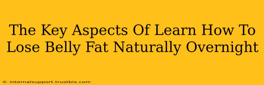 The Key Aspects Of Learn How To Lose Belly Fat Naturally Overnight