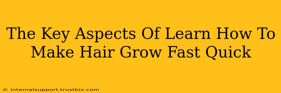 The Key Aspects Of Learn How To Make Hair Grow Fast Quick