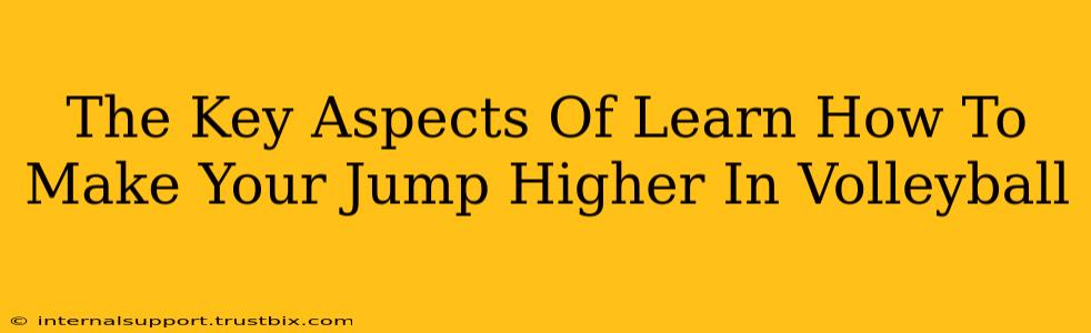 The Key Aspects Of Learn How To Make Your Jump Higher In Volleyball