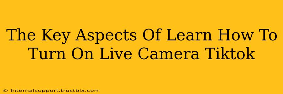 The Key Aspects Of Learn How To Turn On Live Camera Tiktok