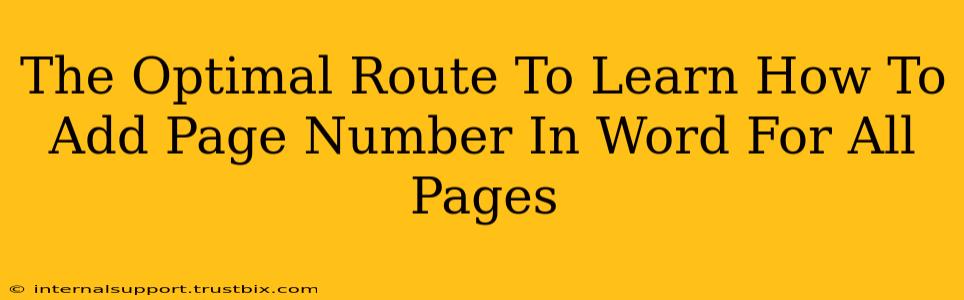 The Optimal Route To Learn How To Add Page Number In Word For All Pages