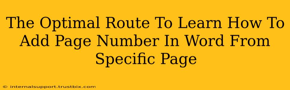 The Optimal Route To Learn How To Add Page Number In Word From Specific Page