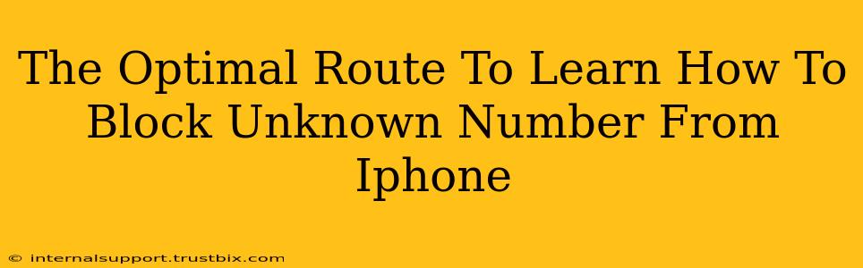 The Optimal Route To Learn How To Block Unknown Number From Iphone