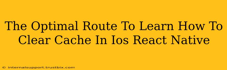 The Optimal Route To Learn How To Clear Cache In Ios React Native