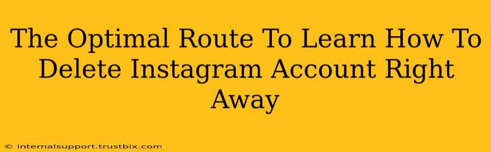 The Optimal Route To Learn How To Delete Instagram Account Right Away