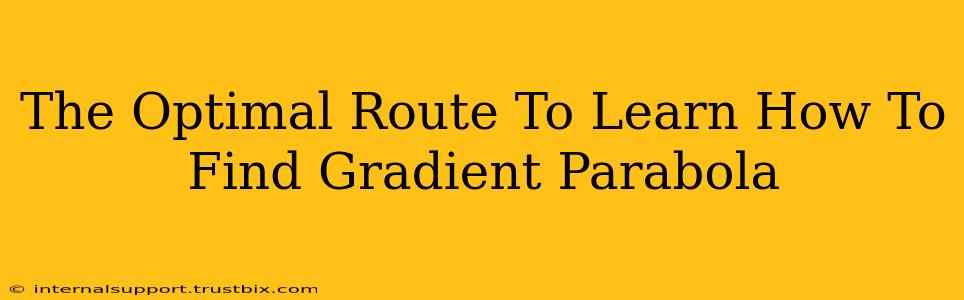 The Optimal Route To Learn How To Find Gradient Parabola