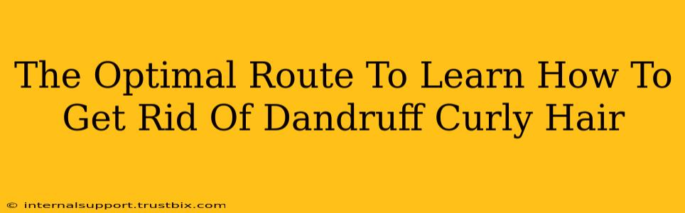 The Optimal Route To Learn How To Get Rid Of Dandruff Curly Hair