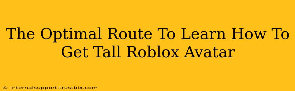 The Optimal Route To Learn How To Get Tall Roblox Avatar