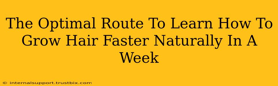 The Optimal Route To Learn How To Grow Hair Faster Naturally In A Week