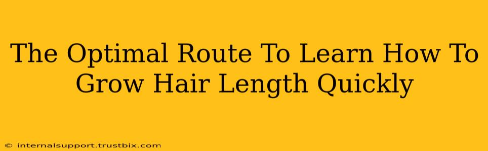 The Optimal Route To Learn How To Grow Hair Length Quickly