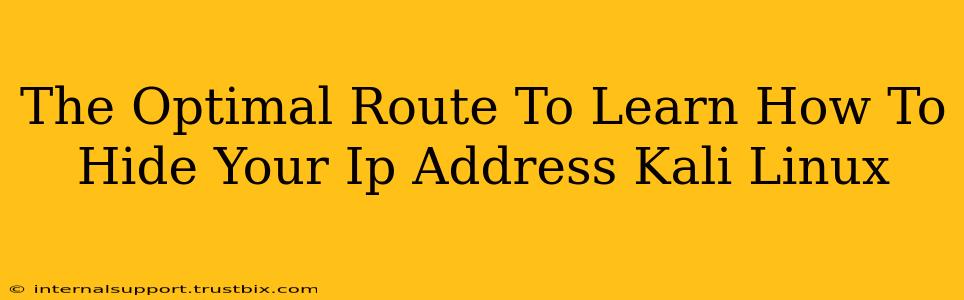 The Optimal Route To Learn How To Hide Your Ip Address Kali Linux