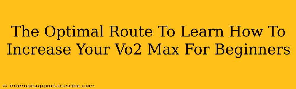 The Optimal Route To Learn How To Increase Your Vo2 Max For Beginners