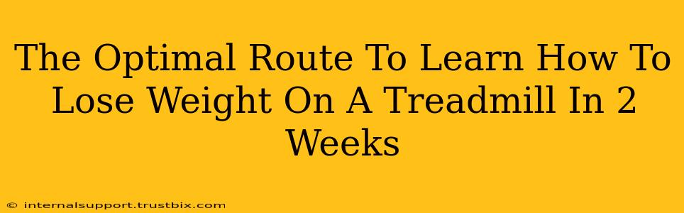 The Optimal Route To Learn How To Lose Weight On A Treadmill In 2 Weeks