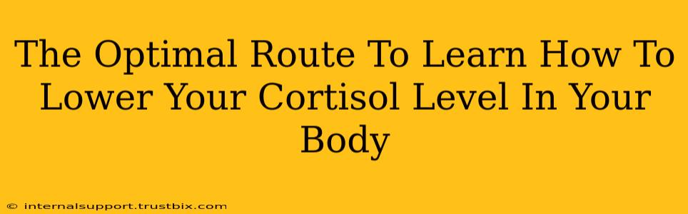 The Optimal Route To Learn How To Lower Your Cortisol Level In Your Body