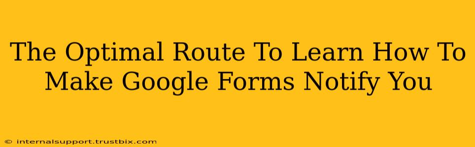 The Optimal Route To Learn How To Make Google Forms Notify You