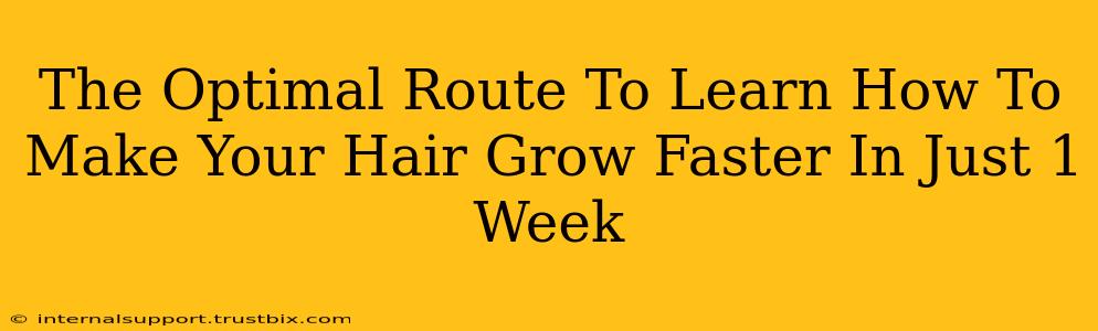 The Optimal Route To Learn How To Make Your Hair Grow Faster In Just 1 Week