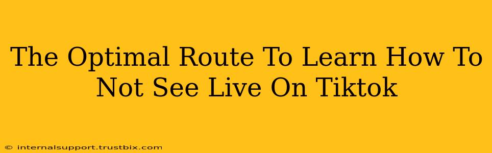 The Optimal Route To Learn How To Not See Live On Tiktok