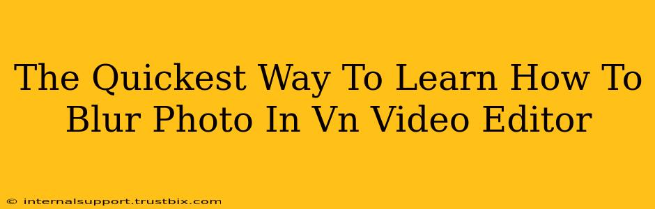 The Quickest Way To Learn How To Blur Photo In Vn Video Editor