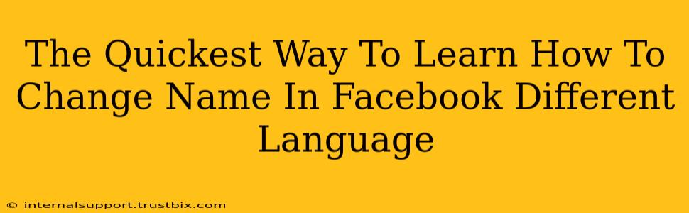 The Quickest Way To Learn How To Change Name In Facebook Different Language