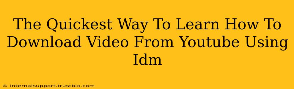 The Quickest Way To Learn How To Download Video From Youtube Using Idm