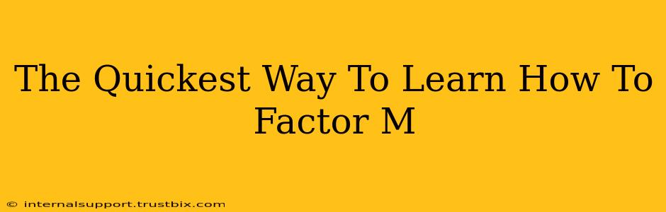 The Quickest Way To Learn How To Factor M