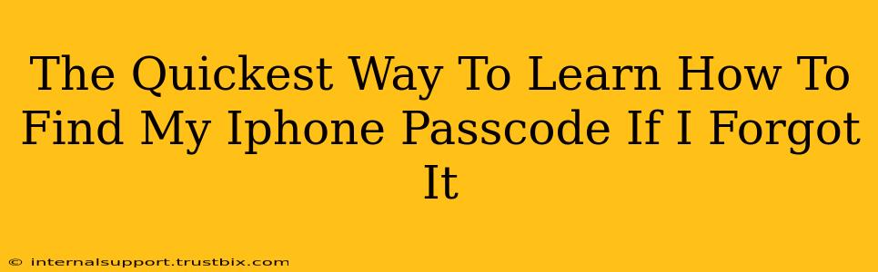 The Quickest Way To Learn How To Find My Iphone Passcode If I Forgot It