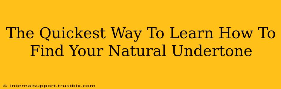 The Quickest Way To Learn How To Find Your Natural Undertone