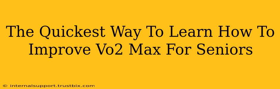 The Quickest Way To Learn How To Improve Vo2 Max For Seniors