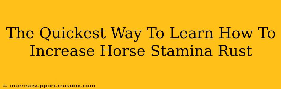 The Quickest Way To Learn How To Increase Horse Stamina Rust