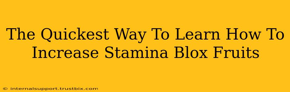 The Quickest Way To Learn How To Increase Stamina Blox Fruits