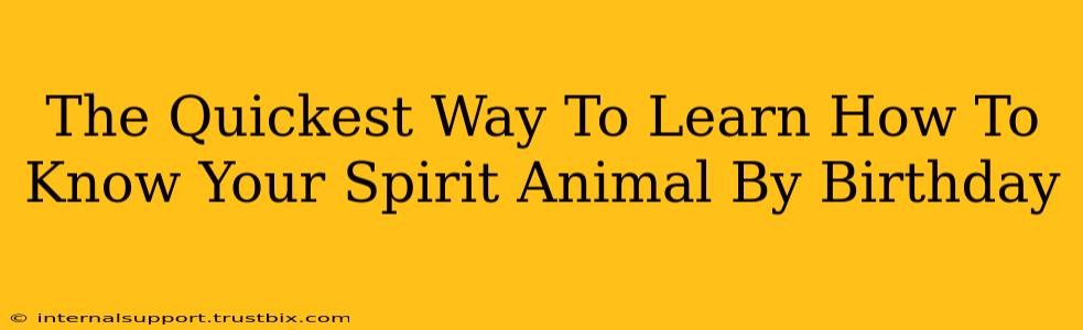 The Quickest Way To Learn How To Know Your Spirit Animal By Birthday